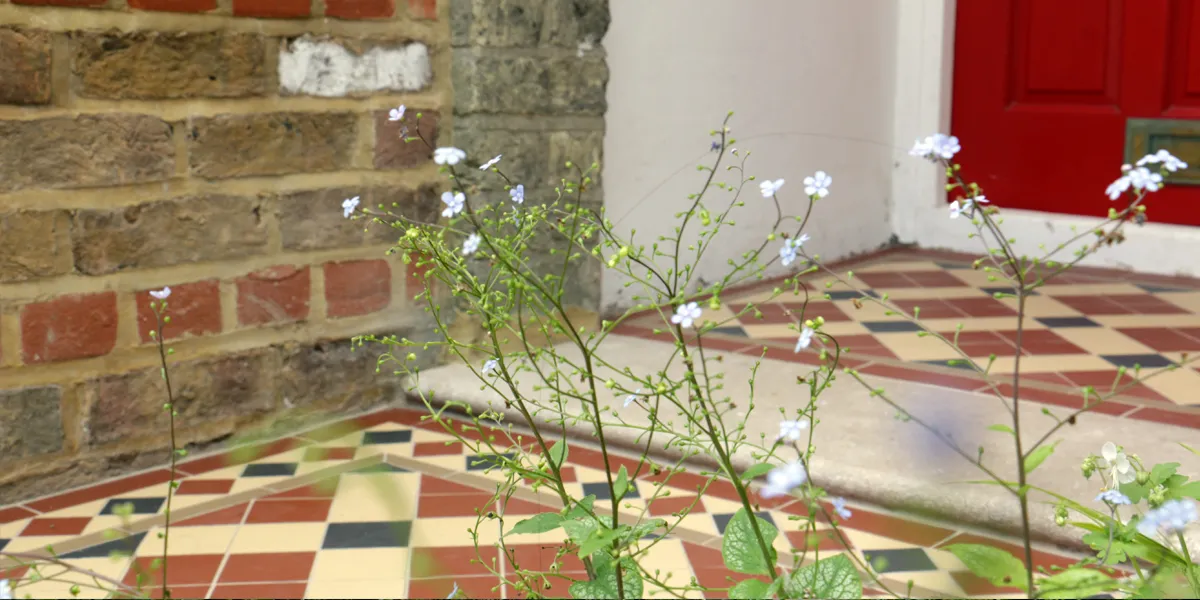 Close up view, though lens blurred green and white flowers, of an Edwardian tiled path and porch. A stone tread seperates the path and porch, which leads to a red front door. Behind the path, a brick wall.