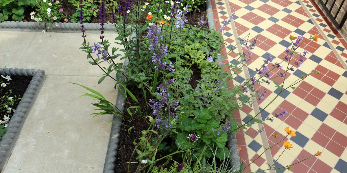 View looking down at an area of a small English front garden. To the right, an Edwardian-style mosaic tile path. In the cenre an area of planting, with green shrubs and flowers. The soil is held back by traditional Victorian rope-top edging. To the left, there are stone slabs around another planting area.